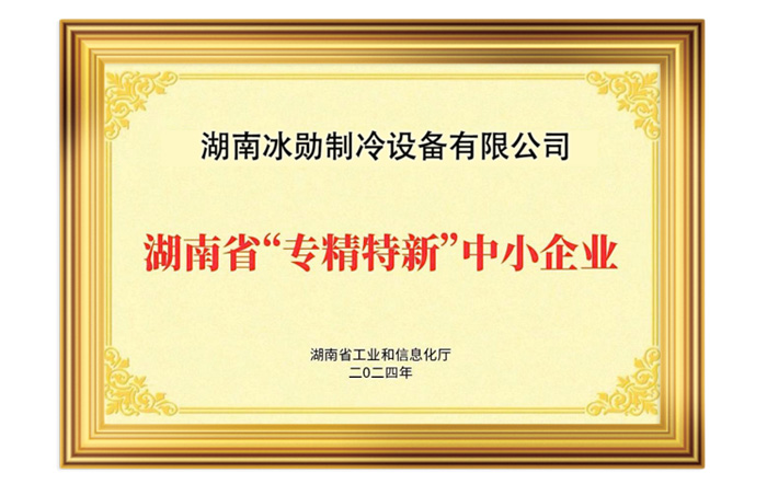 喜報 | 我司榮獲2024年湖南省專精特新中小企業(yè)榮譽(yù)稱號